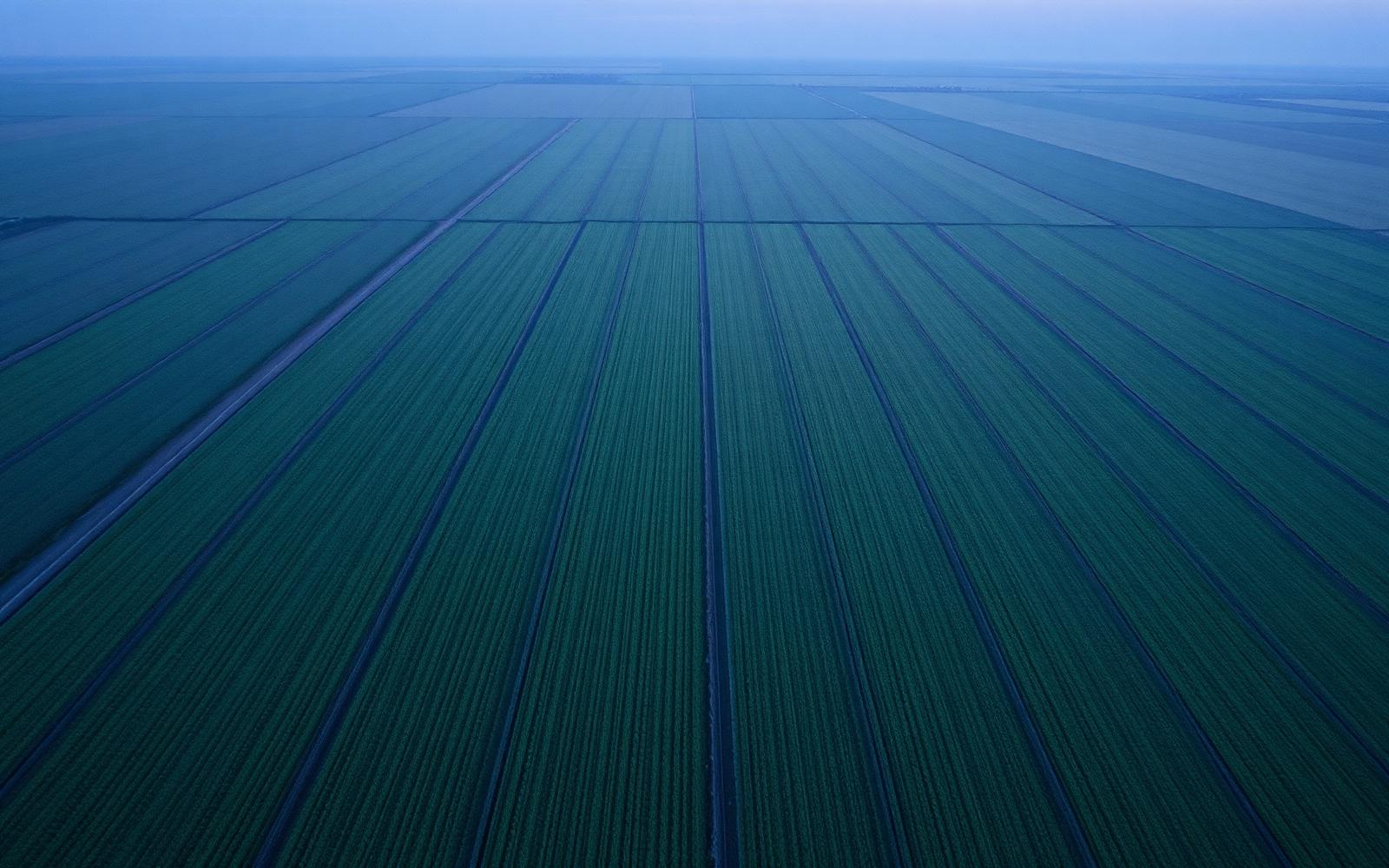 Agriculture — Moksha permanent capital focus